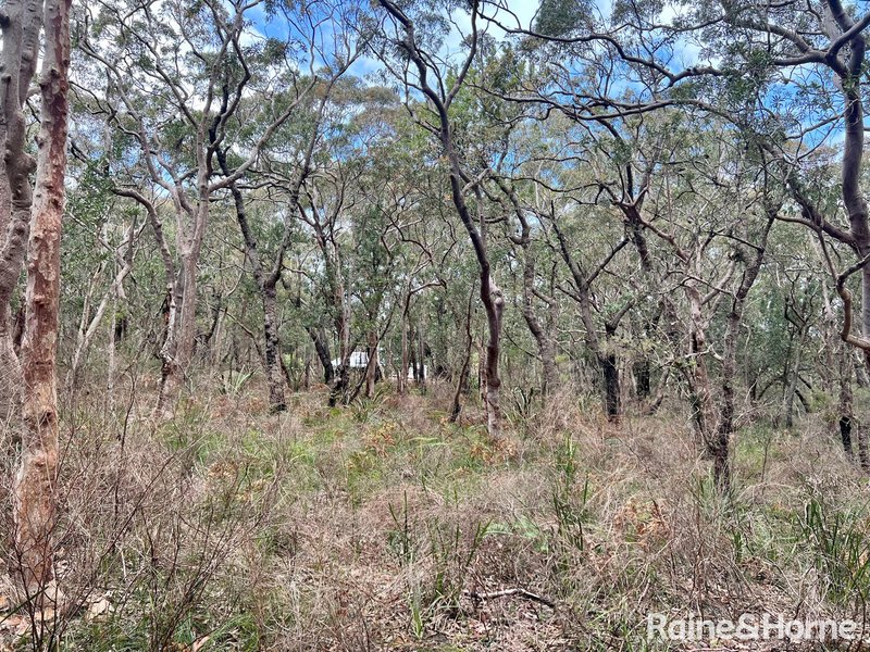 Photo - Lot 19 Sec 3 Dp2644 Tarawa Road, Helensburgh NSW 2508 - Image 4