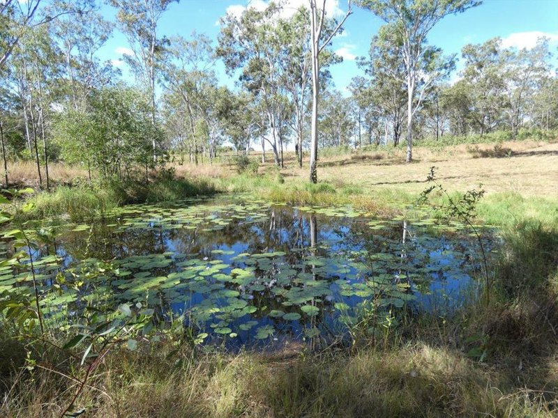 Photo - Lot 19 Websters Road, Euleilah QLD 4674 - Image 6