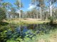 Photo - Lot 19 Websters Road, Euleilah QLD 4674 - Image 7