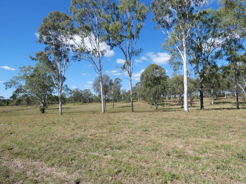 Photo - Lot 19 Websters Road, Euleilah QLD 4674 - Image 8