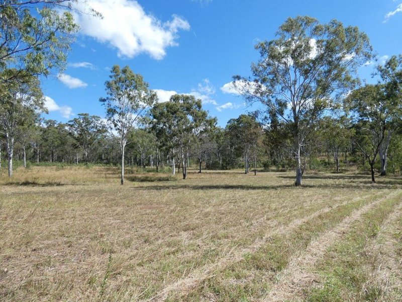 Photo - Lot 19 Websters Road, Euleilah QLD 4674 - Image 14