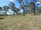 Photo - Lot 19 Websters Road, Euleilah QLD 4674 - Image 15