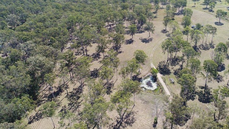 Photo - Lot 19 Websters Road, Euleilah QLD 4674 - Image 16