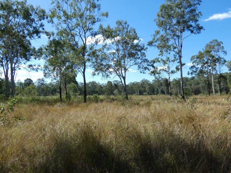 Photo - Lot 19 Websters Road, Euleilah QLD 4674 - Image 17