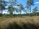 Photo - Lot 19 Websters Road, Euleilah QLD 4674 - Image 17