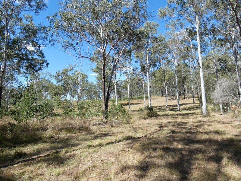 Photo - Lot 19 Websters Road, Euleilah QLD 4674 - Image 19