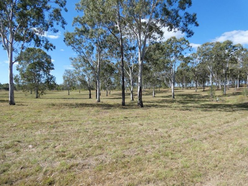 Photo - Lot 19 Websters Road, Euleilah QLD 4674 - Image 20