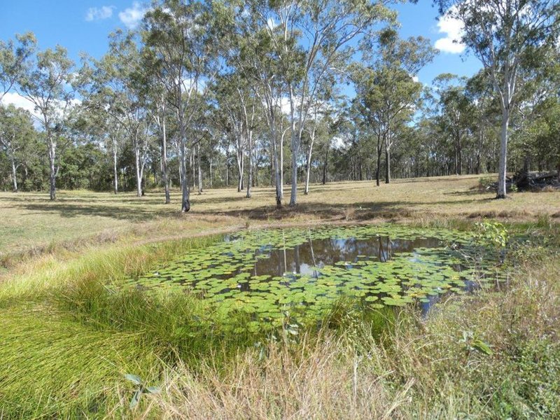 Photo - Lot 19 Websters Road, Euleilah QLD 4674 - Image 21