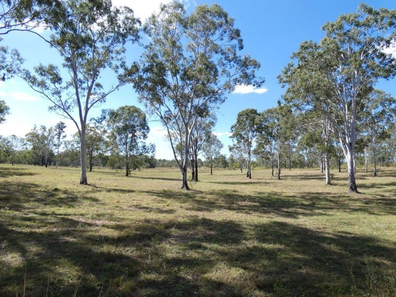 Photo - Lot 19 Websters Road, Euleilah QLD 4674 - Image 22