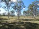 Photo - Lot 19 Websters Road, Euleilah QLD 4674 - Image 22