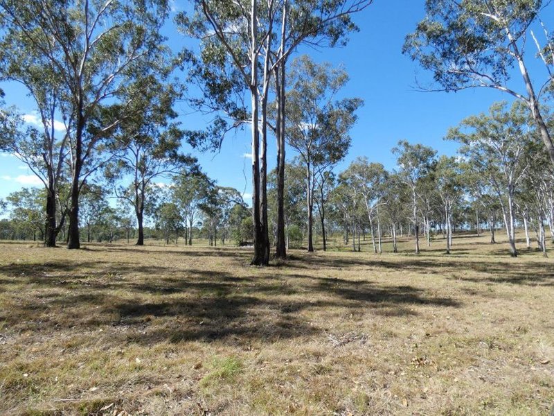 Photo - Lot 19 Websters Road, Euleilah QLD 4674 - Image 24