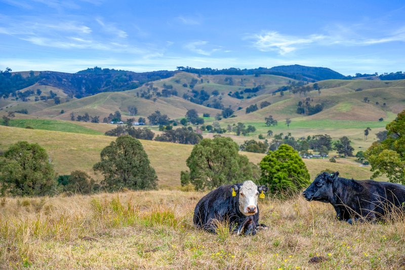 Photo - Lot 193/DP752501 Welshmans Creek Road, Wallarobba NSW 2420 - Image 1