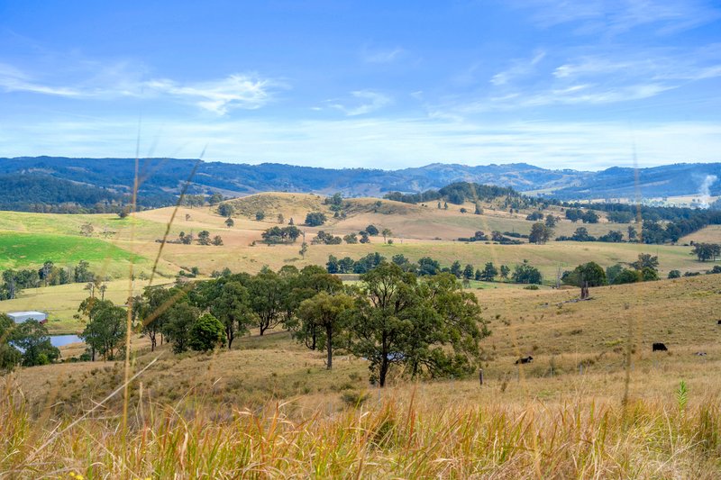 Photo - Lot 193/DP752501 Welshmans Creek Road, Wallarobba NSW 2420 - Image 2