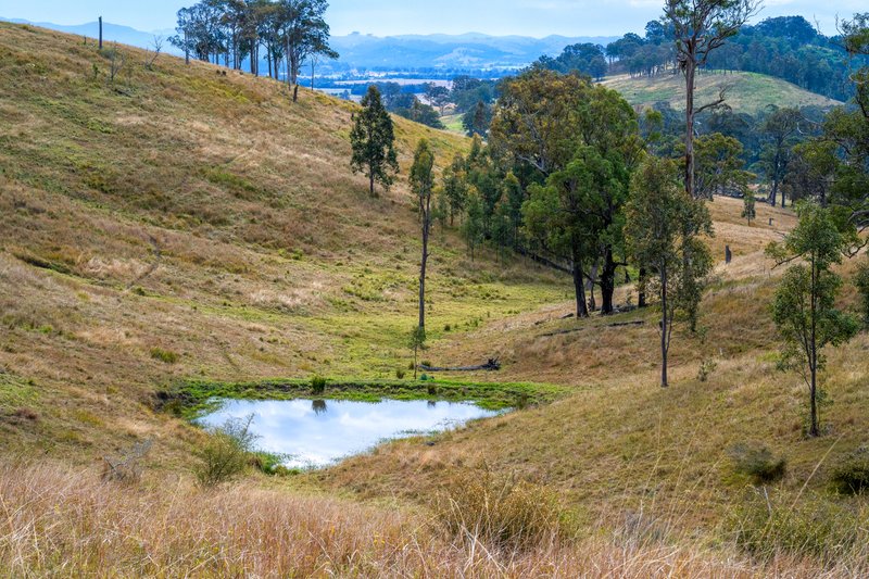 Photo - Lot 193/DP752501 Welshmans Creek Road, Wallarobba NSW 2420 - Image 4