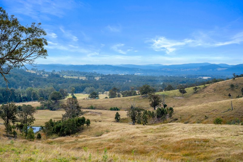 Photo - Lot 193/DP752501 Welshmans Creek Road, Wallarobba NSW 2420 - Image 16