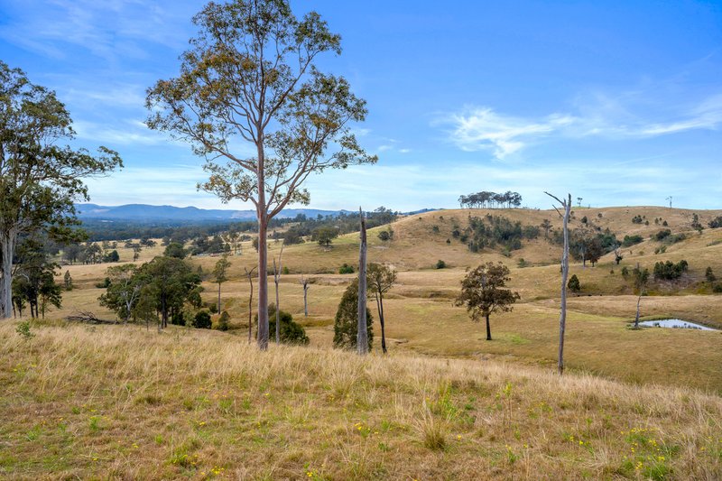 Photo - Lot 193/DP752501 Welshmans Creek Road, Wallarobba NSW 2420 - Image 5