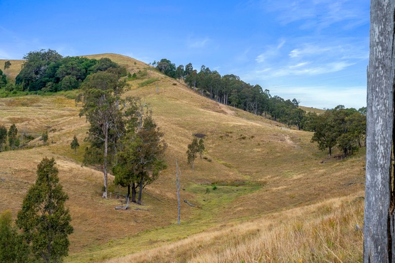 Photo - Lot 193/DP752501 Welshmans Creek Road, Wallarobba NSW 2420 - Image 6