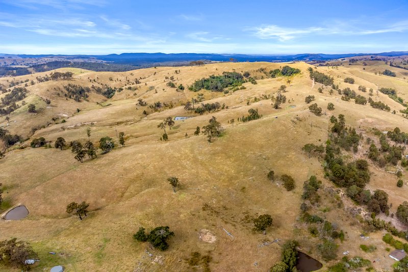 Photo - Lot 193/DP752501 Welshmans Creek Road, Wallarobba NSW 2420 - Image 9