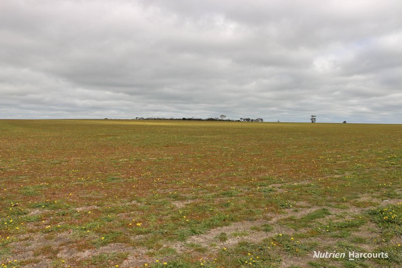 Photo - Lot 1958 Long Creek Road, Ravensthorpe WA 6346 - Image 1