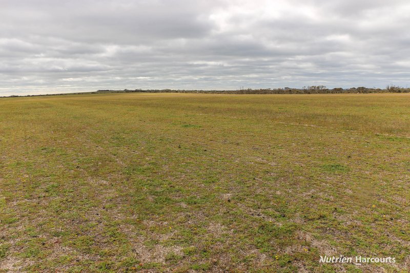 Photo - Lot 1958 Long Creek Road, Ravensthorpe WA 6346 - Image 9