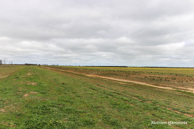 Photo - Lot 1958 Long Creek Road, Ravensthorpe WA 6346 - Image 14