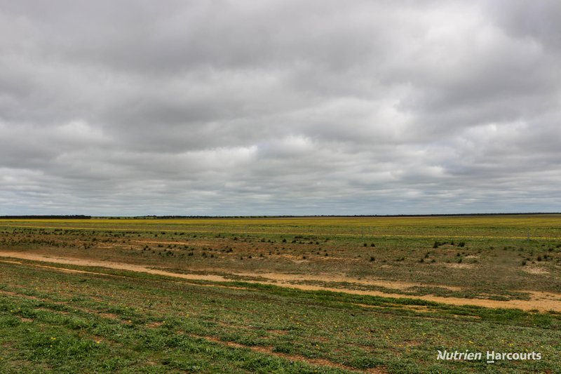 Photo - Lot 1958 Long Creek Road, Ravensthorpe WA 6346 - Image 15