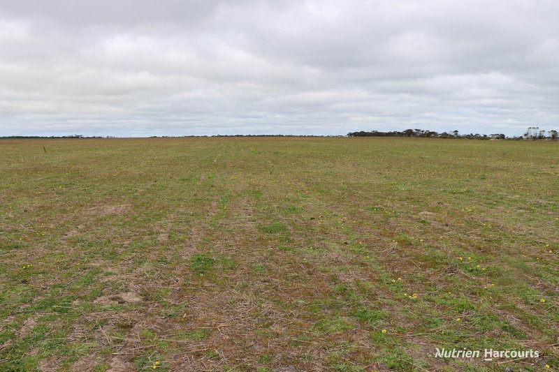 Photo - Lot 1958 Long Creek Road, Ravensthorpe WA 6346 - Image 16