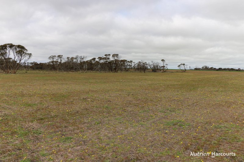 Photo - Lot 1958 Long Creek Road, Ravensthorpe WA 6346 - Image 20