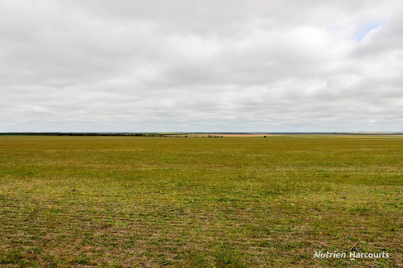 Photo - Lot 1958 Long Creek Road, Ravensthorpe WA 6346 - Image 24