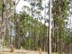 Photo - Lot 196 Arbortwentynine Rd , Glenwood QLD 4570 - Image 1