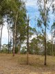 Photo - Lot 196 Arbortwentynine Rd , Glenwood QLD 4570 - Image 2