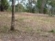 Photo - Lot 196 Arbortwentynine Rd , Glenwood QLD 4570 - Image 4