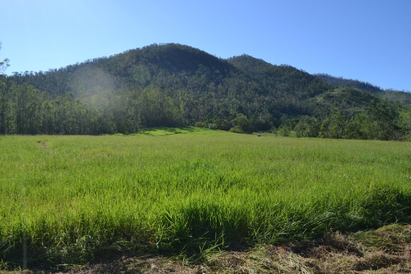 Photo - Lot 197 Monaghan Road, Palm Grove QLD 4800 - Image 7