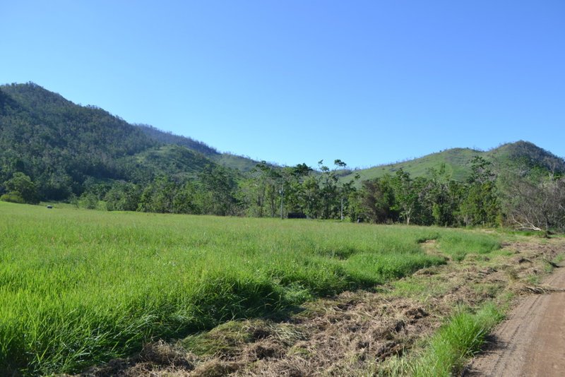 Photo - Lot 197 Monaghan Road, Palm Grove QLD 4800 - Image 8