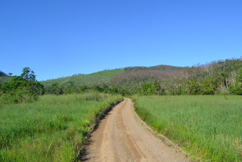 Photo - Lot 197 Monaghan Road, Palm Grove QLD 4800 - Image 10