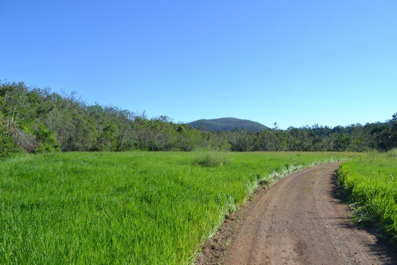 Photo - Lot 197 Monaghan Road, Palm Grove QLD 4800 - Image 11