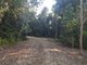 Photo - Lot 198 Camille Drive, Strathdickie QLD 4800 - Image 5