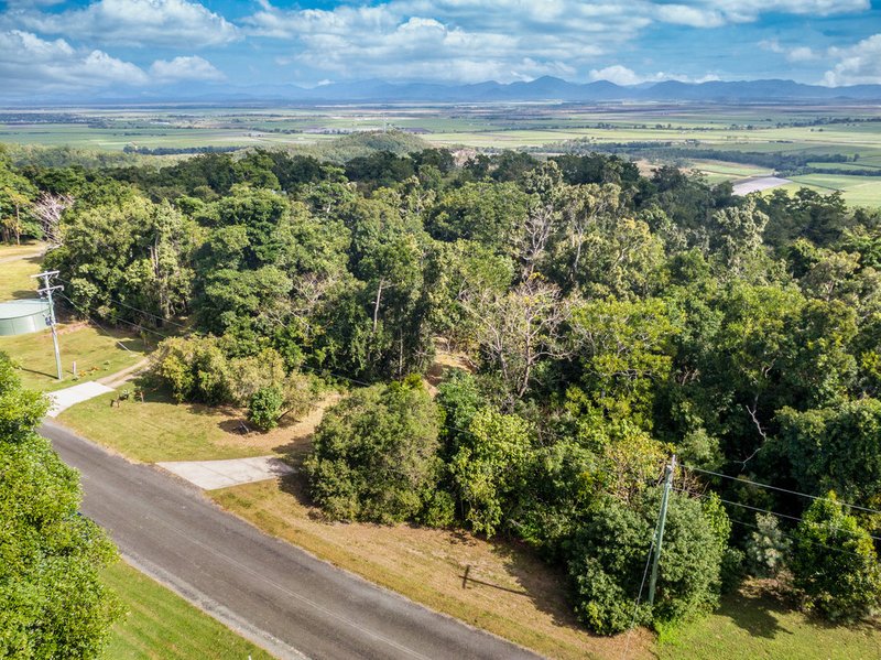 Photo - Lot 198 Camille Drive, Strathdickie QLD 4800 - Image 7