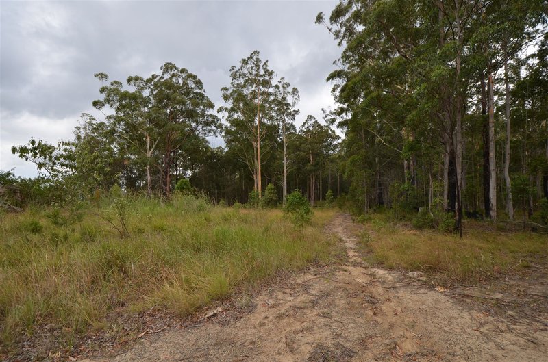 Photo - Lot 198 Cold Nob Road, Byabarra NSW 2446 - Image 4