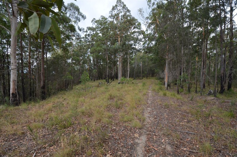 Photo - Lot 198 Cold Nob Road, Byabarra NSW 2446 - Image 5