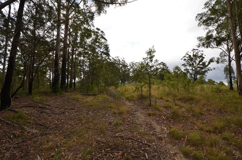 Photo - Lot 198 Cold Nob Road, Byabarra NSW 2446 - Image 6