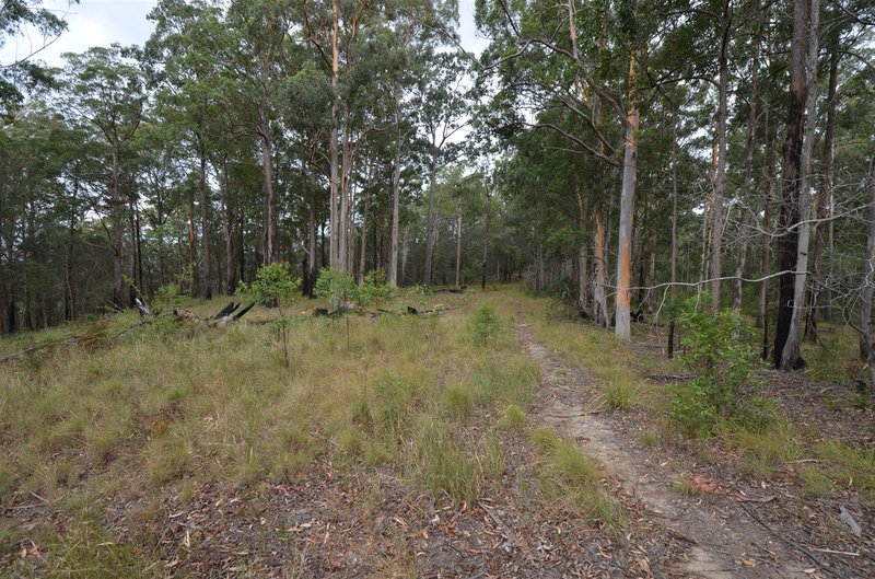 Photo - Lot 198 Cold Nob Road, Byabarra NSW 2446 - Image 7