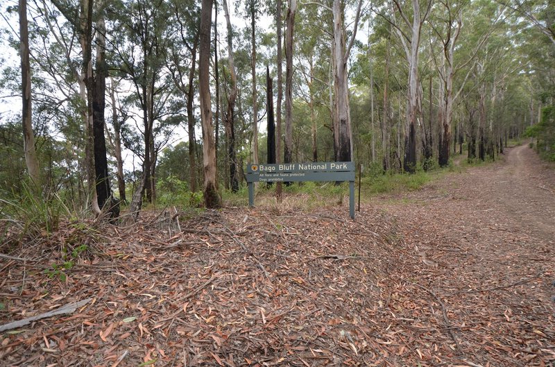 Photo - Lot 198 Cold Nob Road, Byabarra NSW 2446 - Image 10