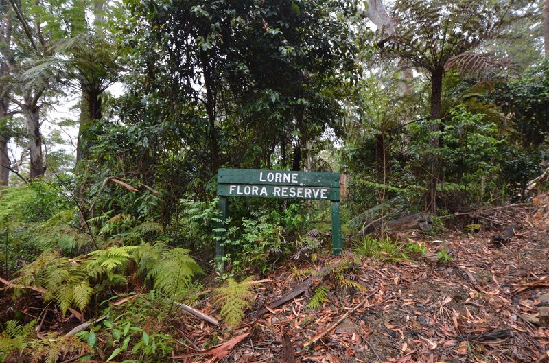 Photo - Lot 198 Cold Nob Road, Byabarra NSW 2446 - Image 11