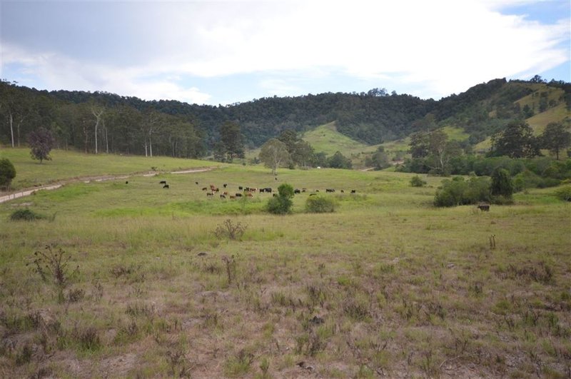 Photo - Lot 1/Lot 1/1161 Pipeclay Rd , Pipeclay NSW 2446 - Image 3