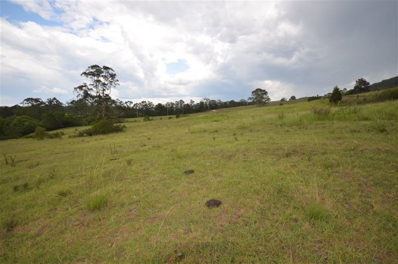 Photo - Lot 1/Lot 1/1161 Pipeclay Rd , Pipeclay NSW 2446 - Image 6