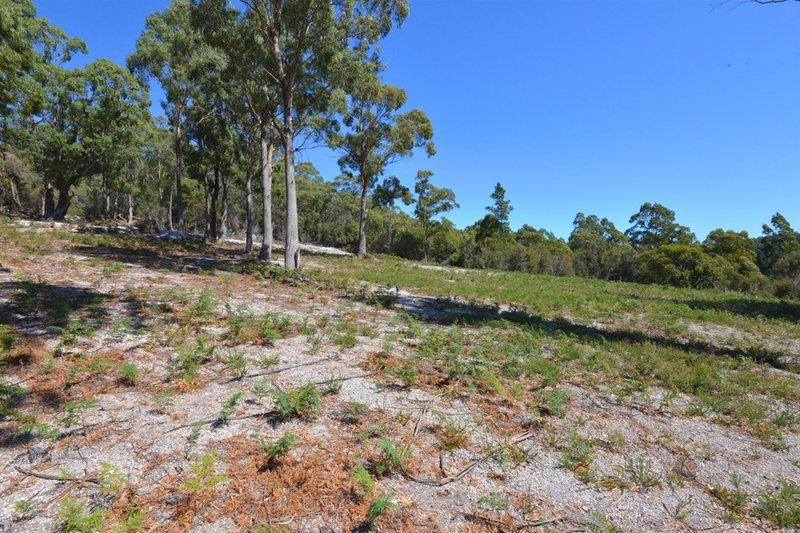 Lot 1/Lot 1/48 White Hills Road, Penguin TAS 7316