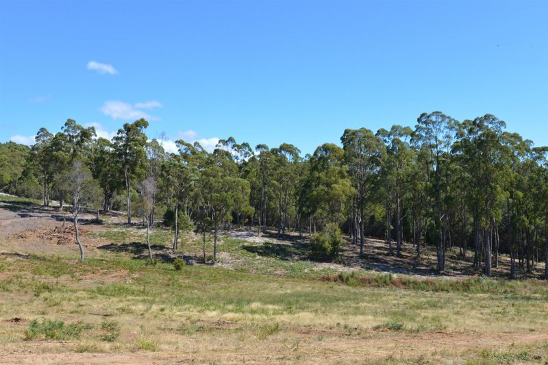 Photo - Lot 1/Lot 1/48 White Hills Road, Penguin TAS 7316 - Image 8