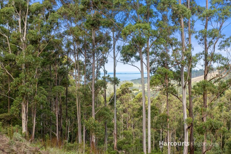 Photo - Lot 2 105 Gumpits Road, Birchs Bay TAS 7162 - Image 3