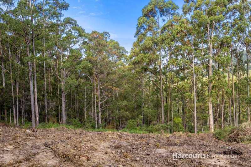 Photo - Lot 2 105 Gumpits Road, Birchs Bay TAS 7162 - Image 15